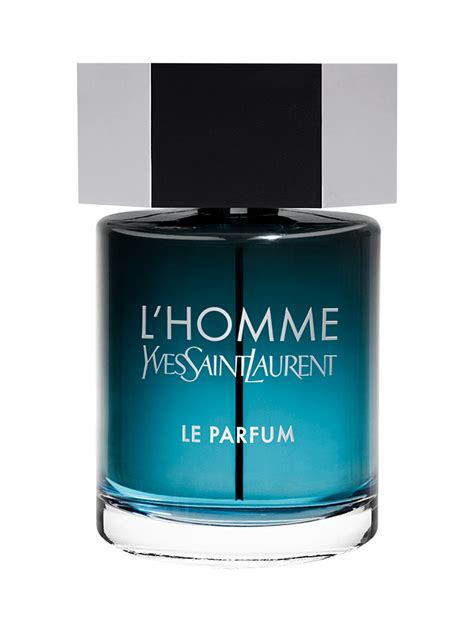 l homme ysl famiglia olfattiva l'homme|ysl eau de parfum.